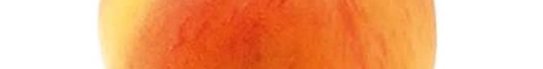 Apricot Minecraft Server