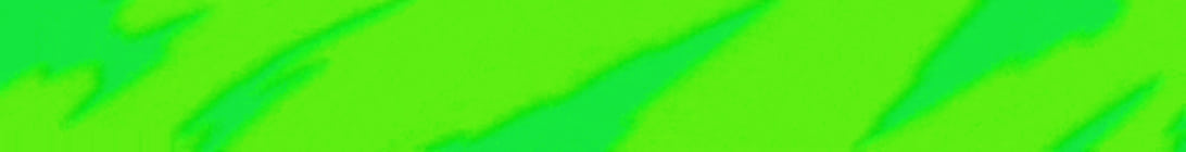 ForestSMP Minecraft Server