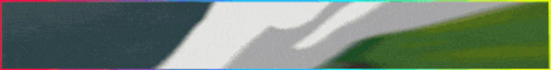 Wilden Minecraft Server