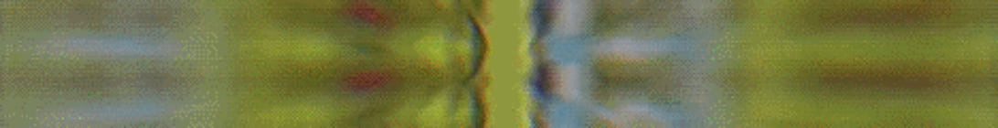 FruitVille Minecraft Server