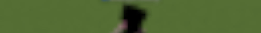CoreSMP Minecraft Server