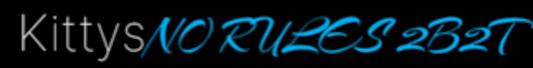 Kittys Chaos Minecraft Server