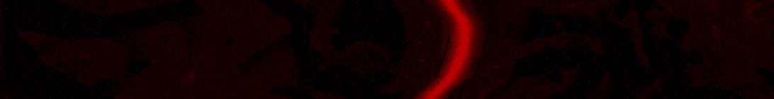 Everbloom Minecraft Server