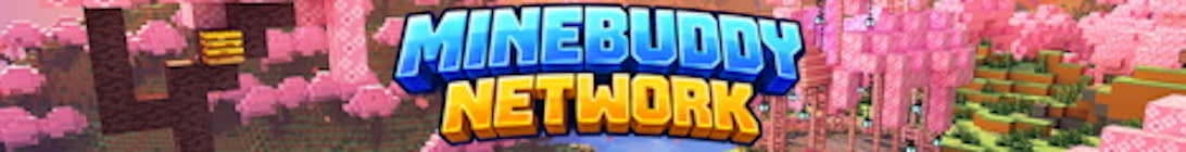 MineBuddy Minecraft Server