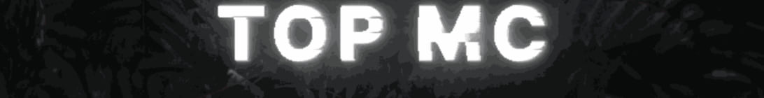 TOP MC Minecraft Server