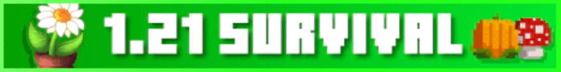 The best Survival Minecraft Server