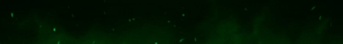 LeafMC Minecraft Server
