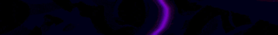 WASDMC Minecraft Server