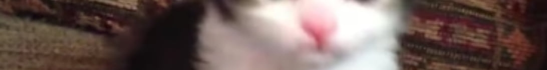 BabuslarSMP Minecraft Server