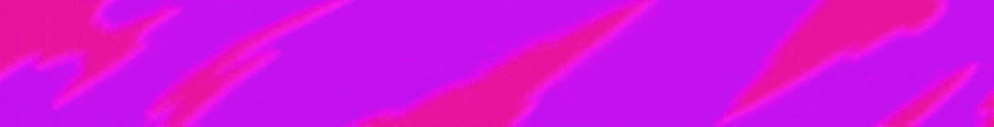 CalmCraft Minecraft Server