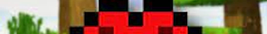 Lifesteal Smp Minecraft Server