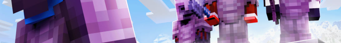 Bagel SMP Minecraft Server