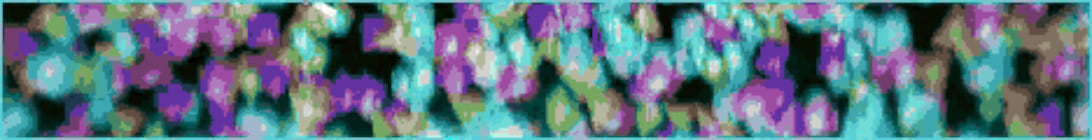 FrostBerry Minecraft Server