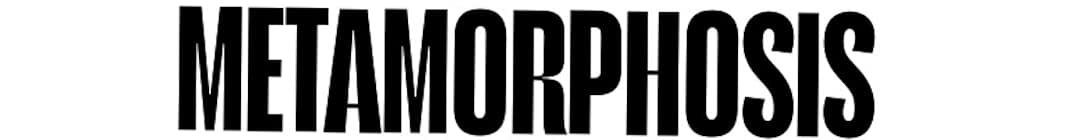 METAMORPHOSIS Minecraft Server