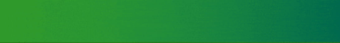 MemeMC Minecraft Server