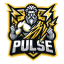 PulseMC
