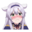 NogMc