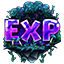 Experience