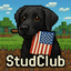 StudClub Survival