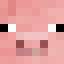 PIG SMP