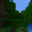 Corous SMP