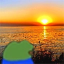 Bee Earth SMP