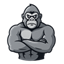 GorillaMC