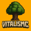VitalisMC