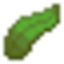 KELP MC  survival