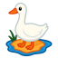 Goose SMP