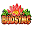 BUDSYMC