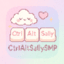 CtrlAltSally SMP