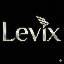 LeviX