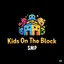 Kids On The Block SMP