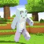 Minecraft Running Server