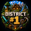 District 1 SMP