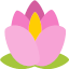 BloomsCraft
