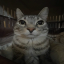 CrimsonCatSMP