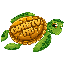 CoastyMC