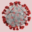 TQMC  The Quarantine