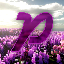 Purple SMP