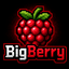 BigBerrySmp