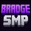 Bradge Server
