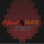 Blood and Banners SMP