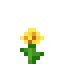 DandelionSMP