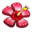 HibiscusMC