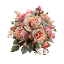 WVNDERLAND
